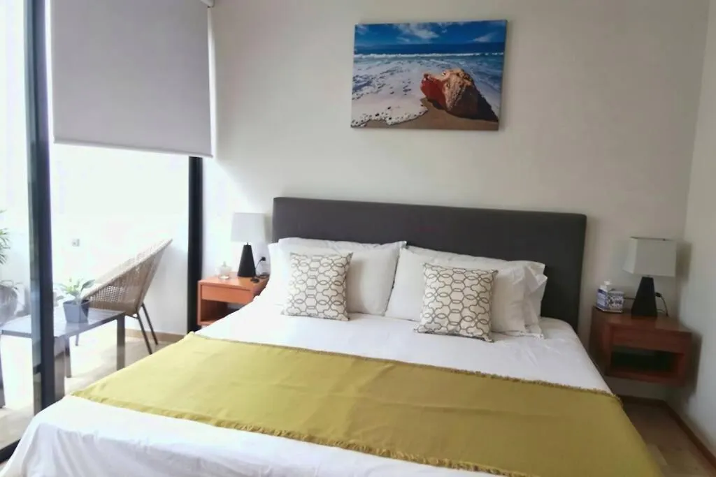 Apartment Menesse 38 Studio King Bed Roof Pool Playa Center Playa del Carmen Mexico