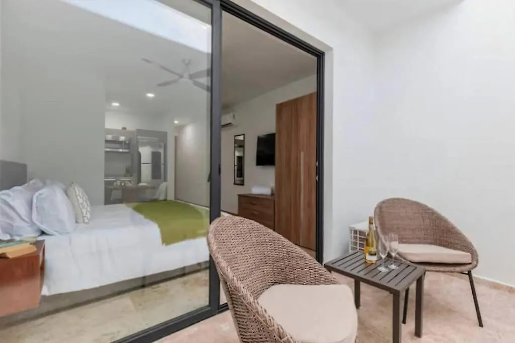 Menesse 38 Studio King Bed Roof Pool Playa Center Playa del Carmen