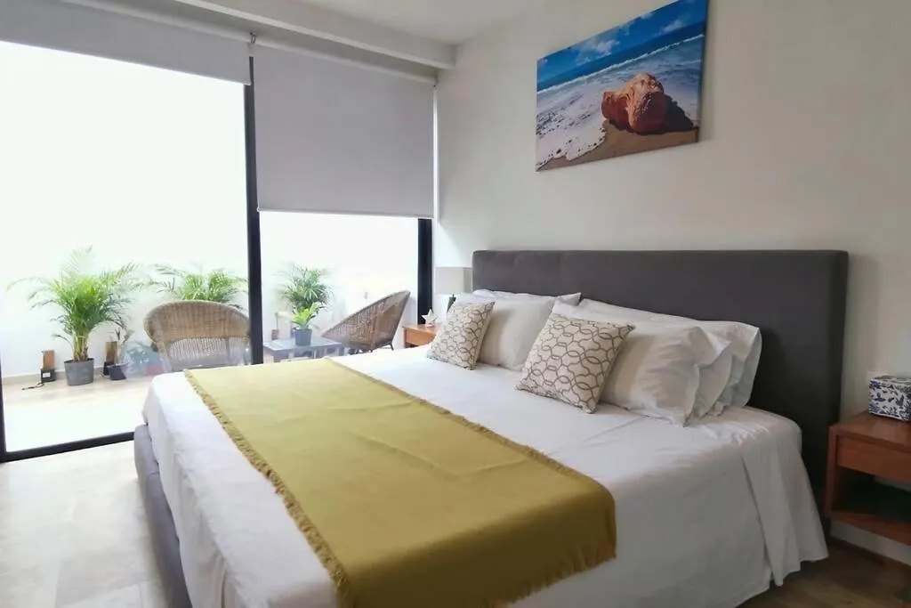Menesse 38 Studio King Bed Roof Pool Playa Center Playa del Carmen 0*,