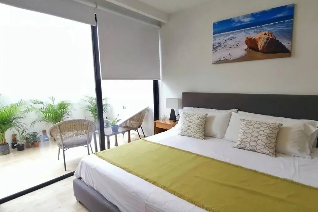 Menesse 38 Studio King Bed Roof Pool Playa Center 신데 델 카르멘